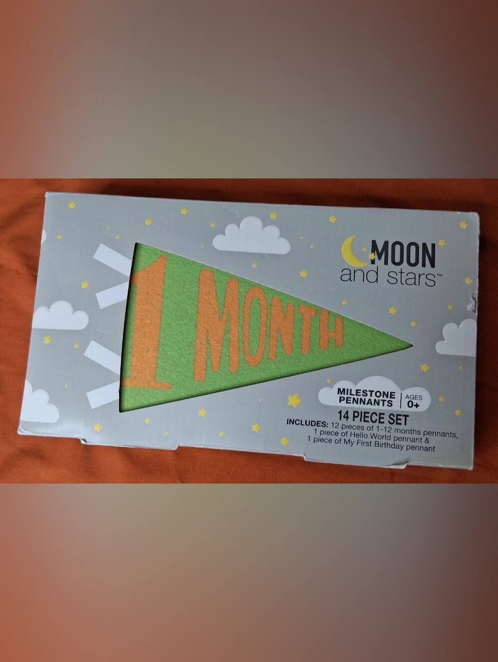 14 Baby Milestone Felt Photo Props